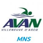 Logo Avannatation MNS